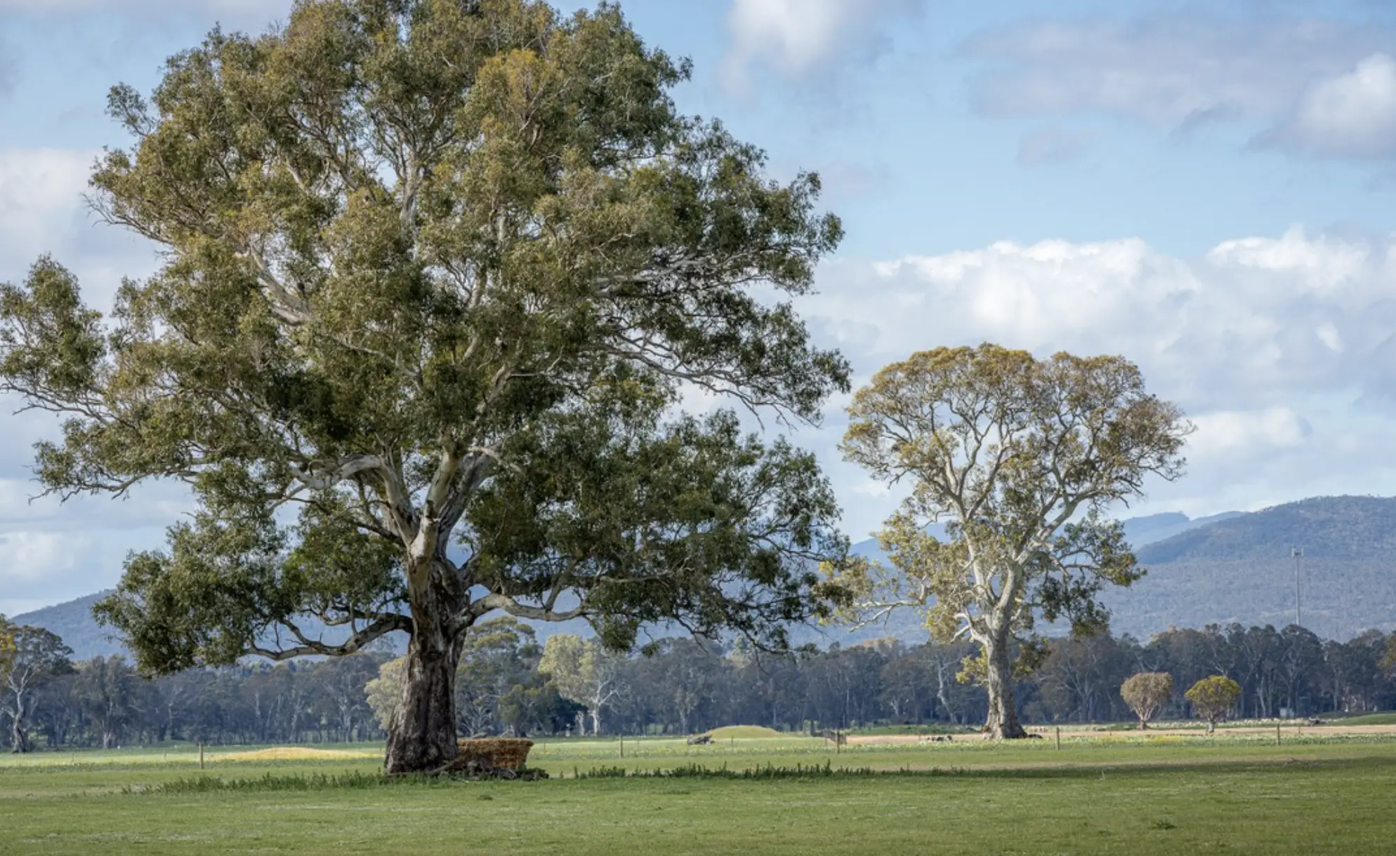 Grampians day tour from Melbourne