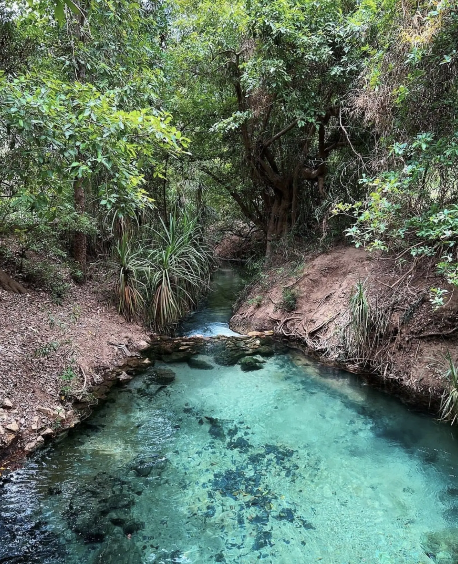 Hot springs Australia