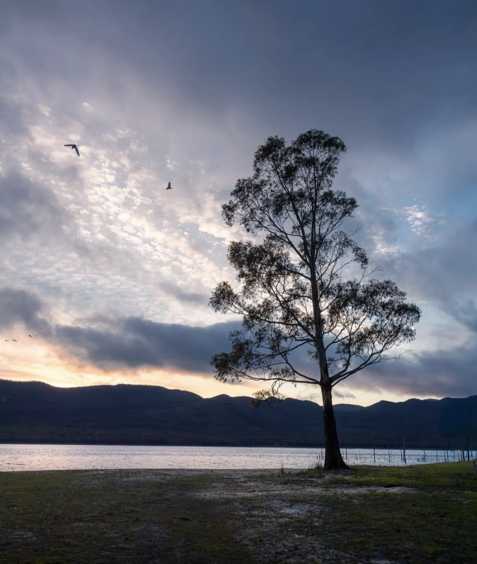 Lake Bellfield