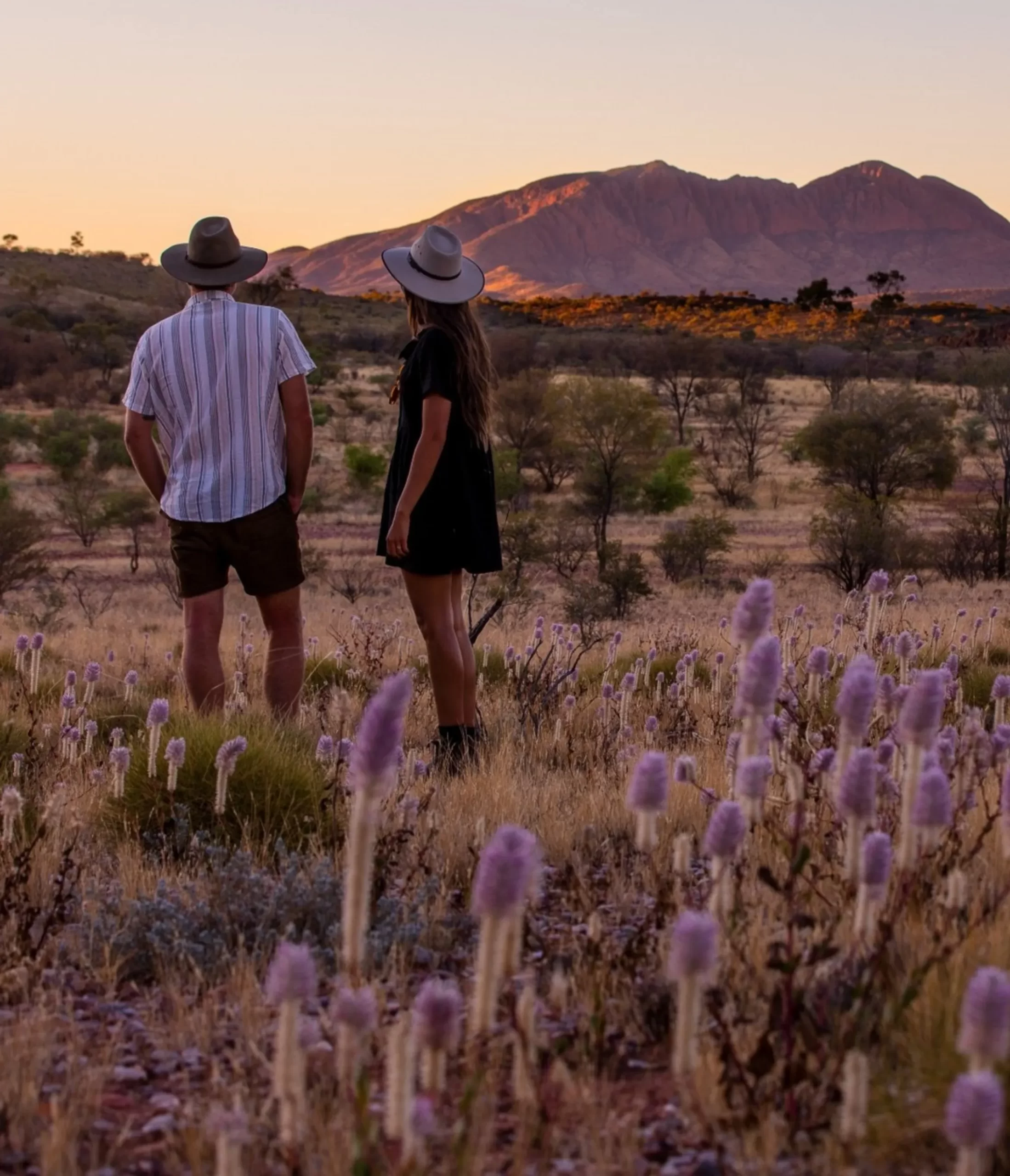 Larapinta Trail tour