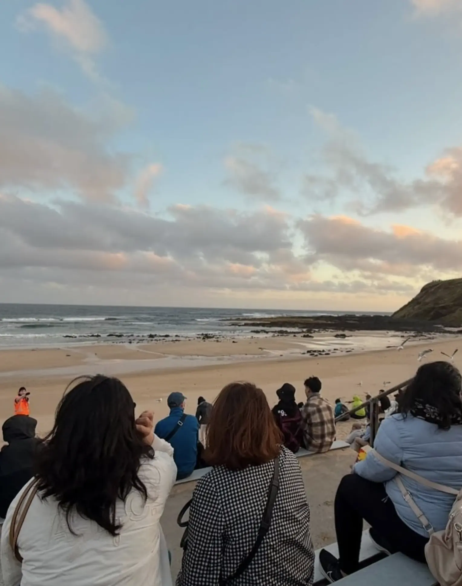 Phillip Island penguin parade tour from Melbourne