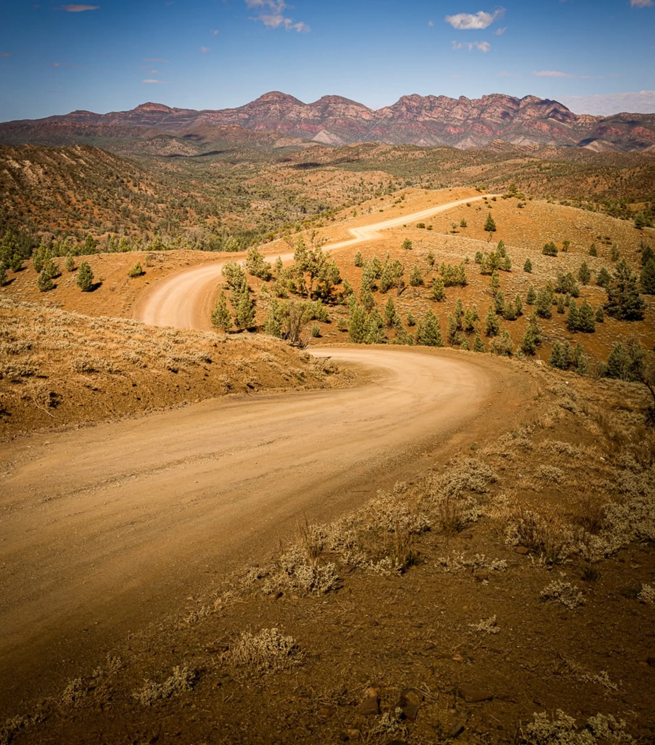 Razorback Ridge, Larapinta