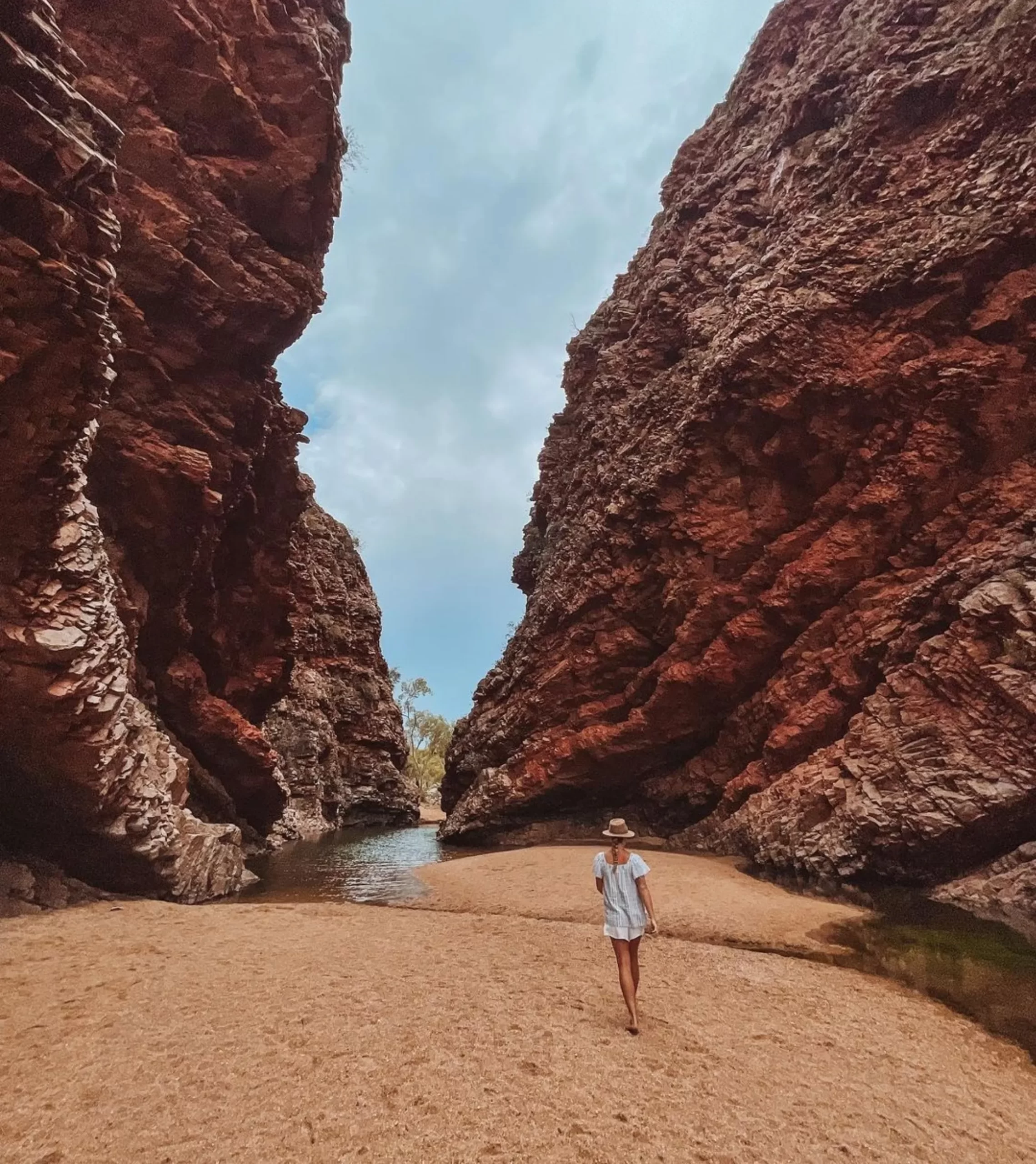 Simpsons Gap, Larapinta