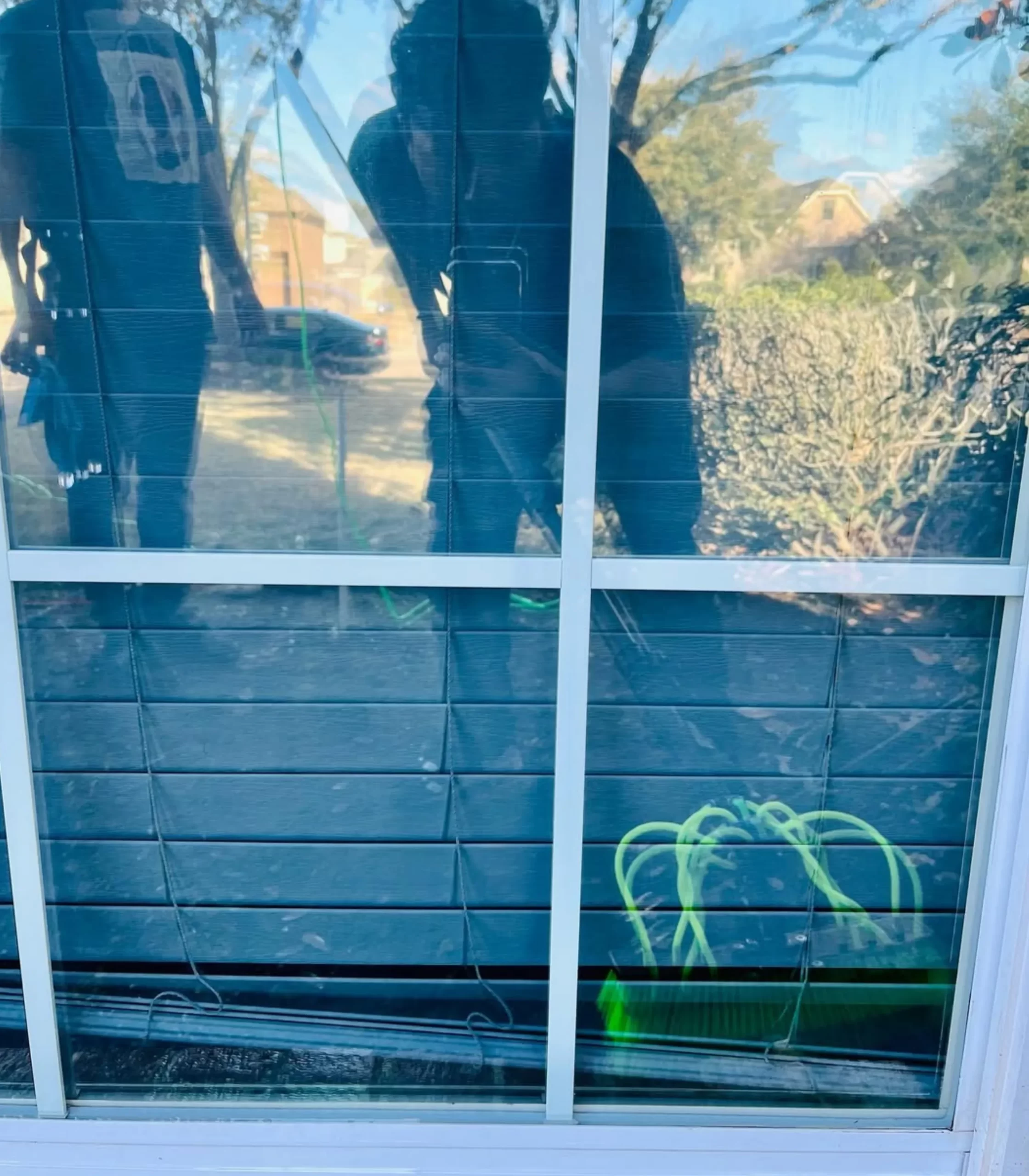 Regular window cleaning removes