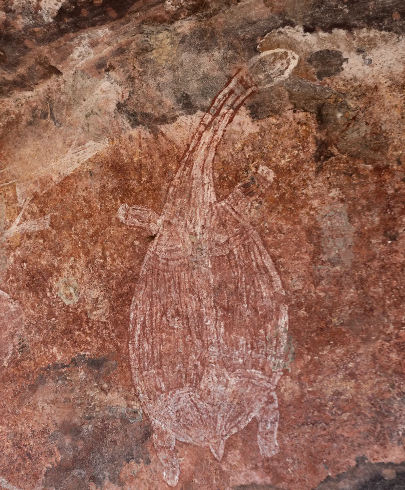 Why did Kakadu become a National Park?