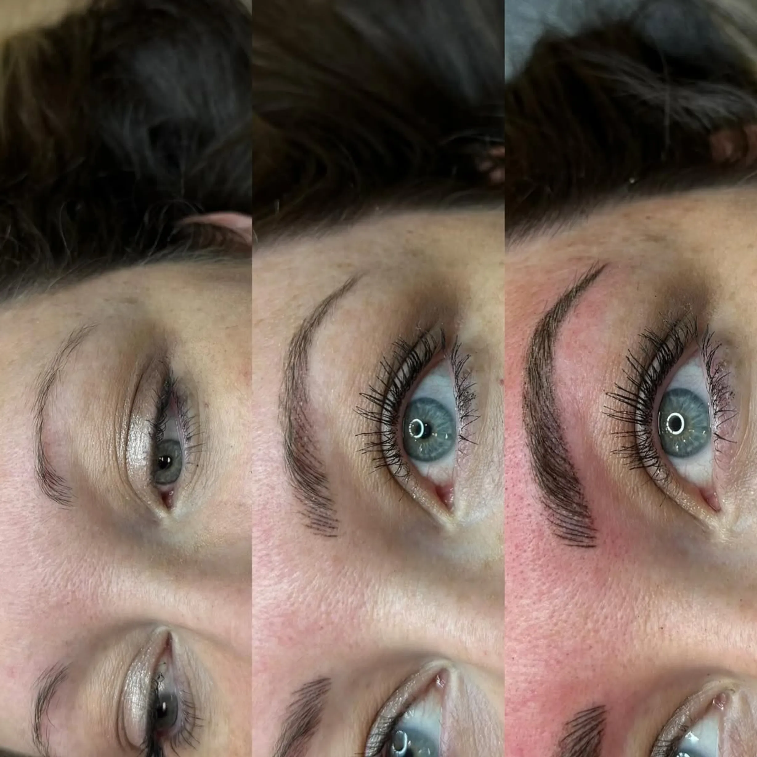 Pigment theory assessment