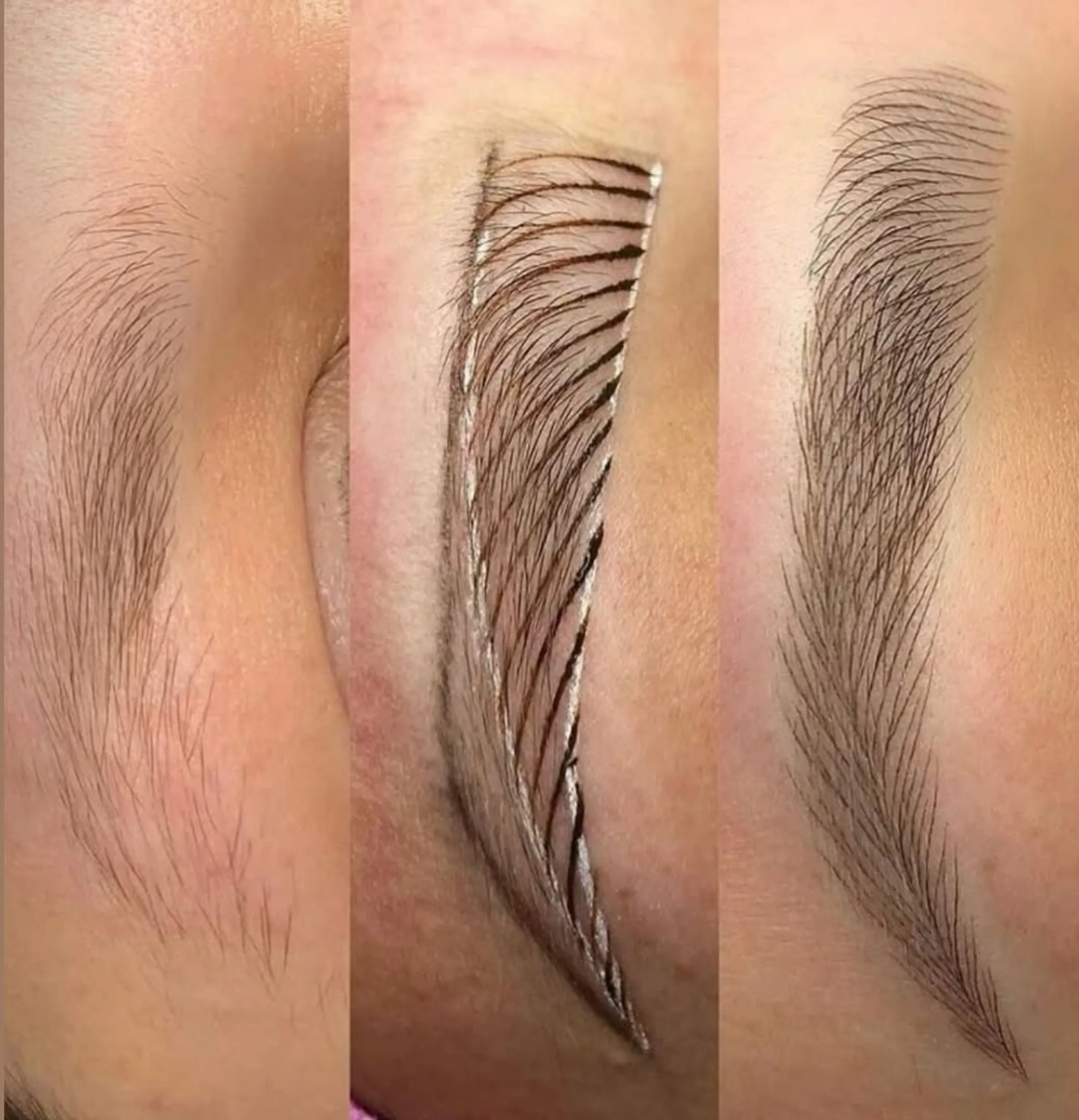 Skin anatomy microblading course