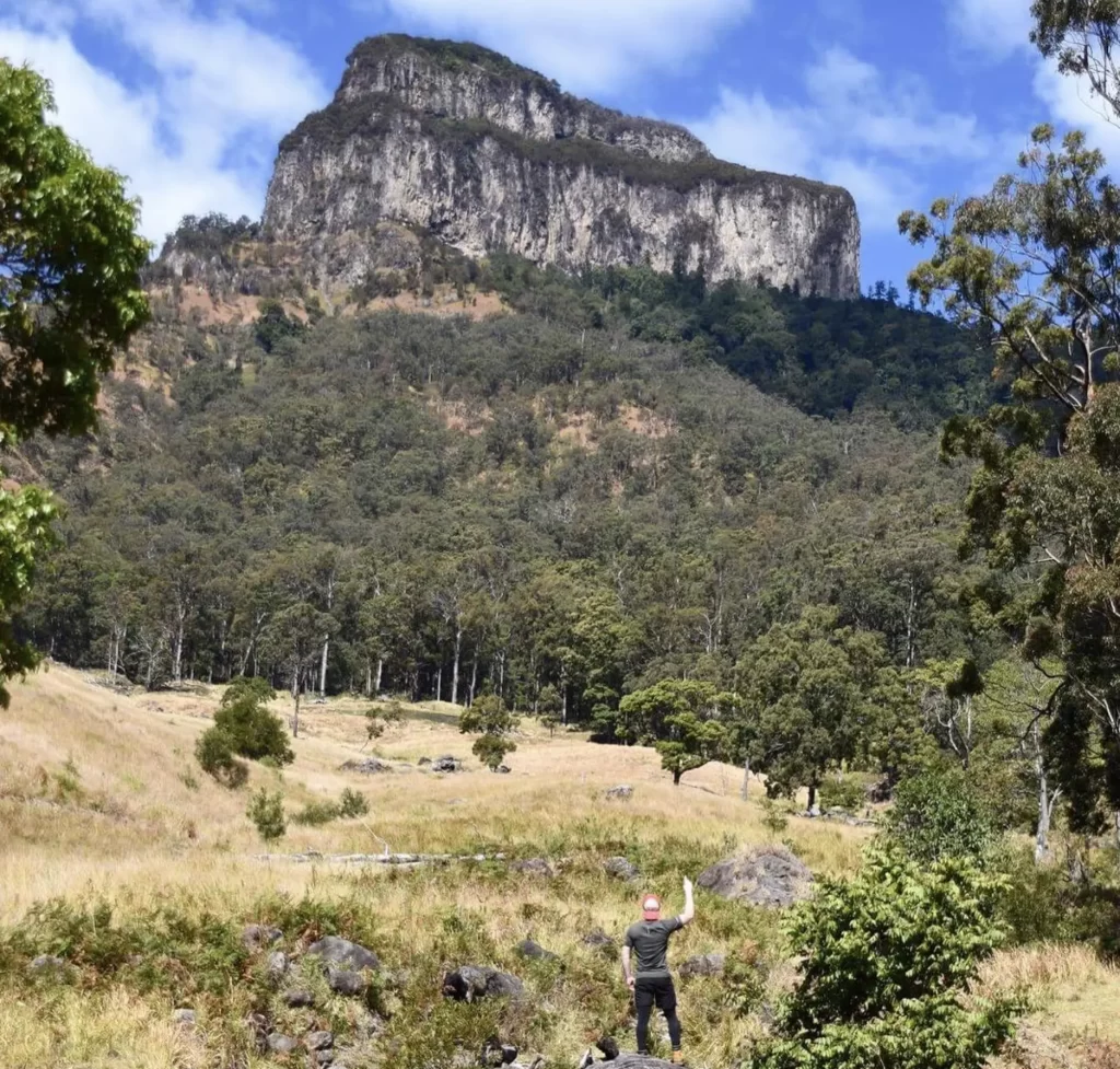 McPherson Range — The Uncompromising Rainforest